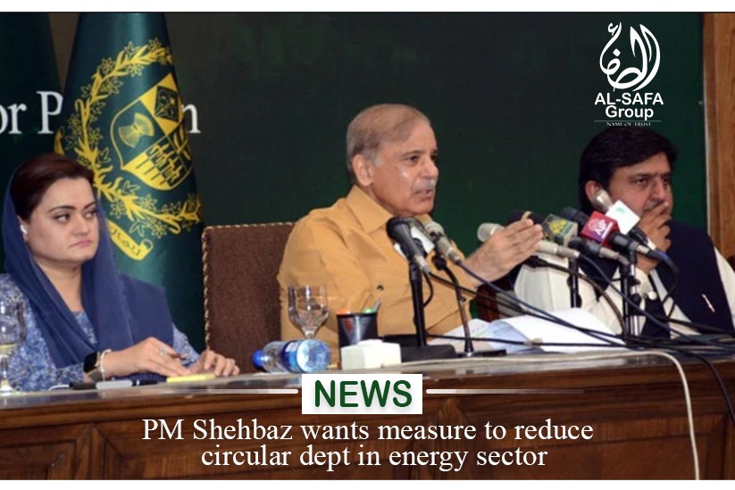 PM Shehbaz Wants Measures to Reduce Circular Debt in Energy Sector